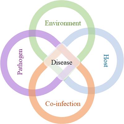 Malaria and leishmaniasis: Updates on co-infection